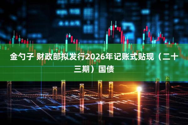 金勺子 财政部拟发行2026年记账式贴现（二十三期）国债